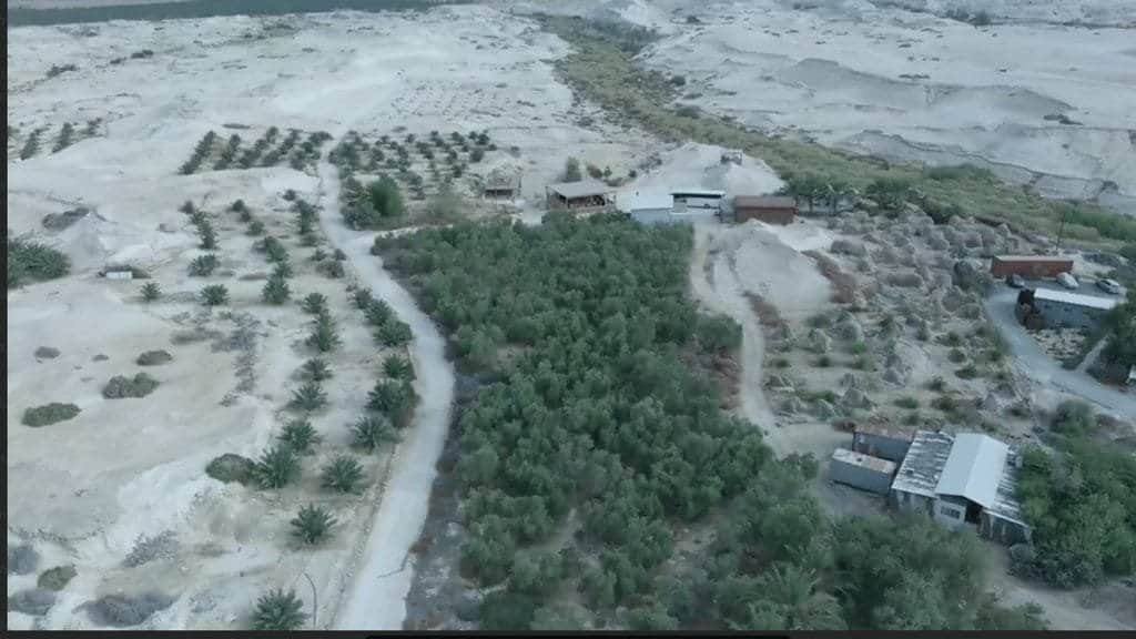 Aerial view of a green orchard surrounded by arid land and scattered buildings.